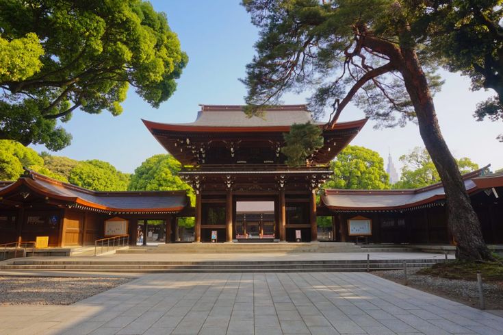 Meiji Jingu Shrine:Best 10 Family-Friendly Shibuya Attractions | The Ultimate Guide to Shibuya