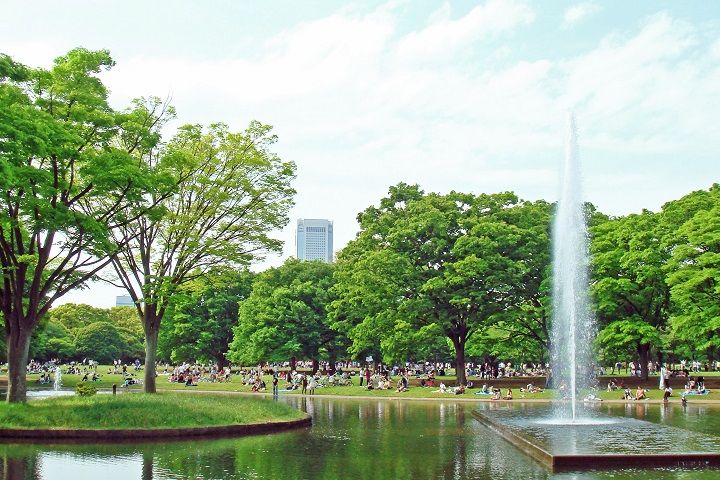 Yoyogi Park;:Best 10 Family-Friendly Shibuya Attractions | The Ultimate Guide to Shibuya