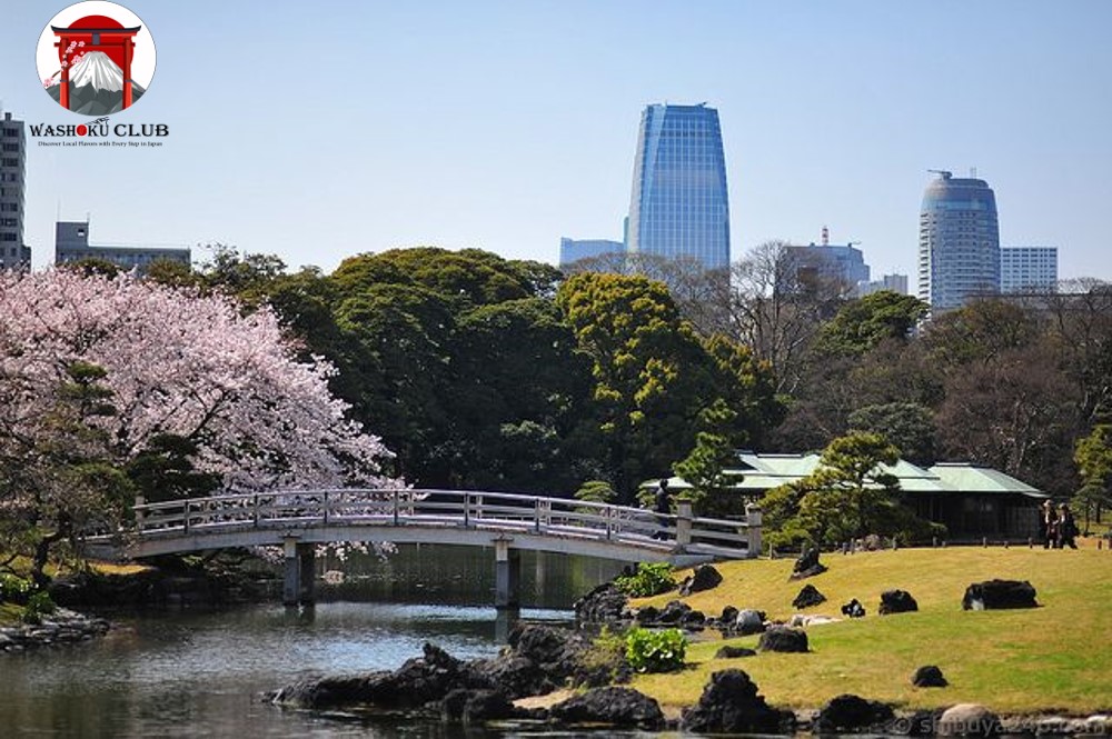 Is Ginza Worth Visiting? Here's What You Need to Know