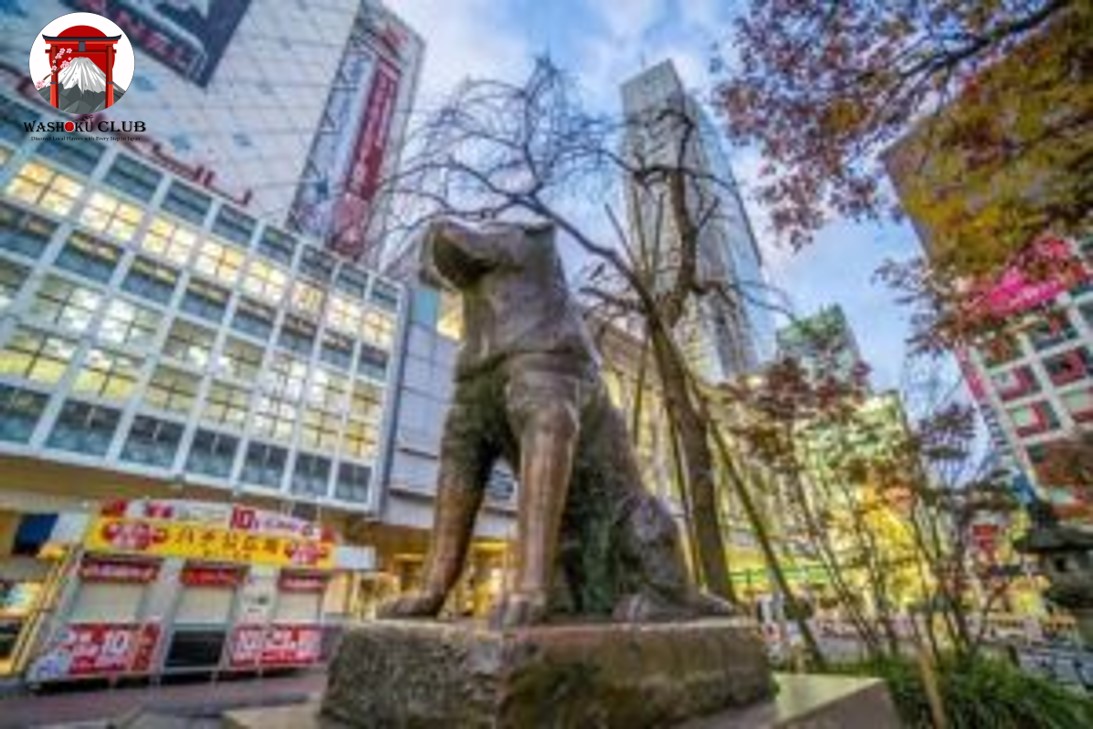 Best 10 Family-Friendly Shibuya Attractions | The Ultimate Guide to Shibuya