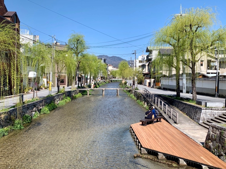 Shirakawa-dori; Unveiling Kyoto's Historic Streets: A Guided Walking Tour