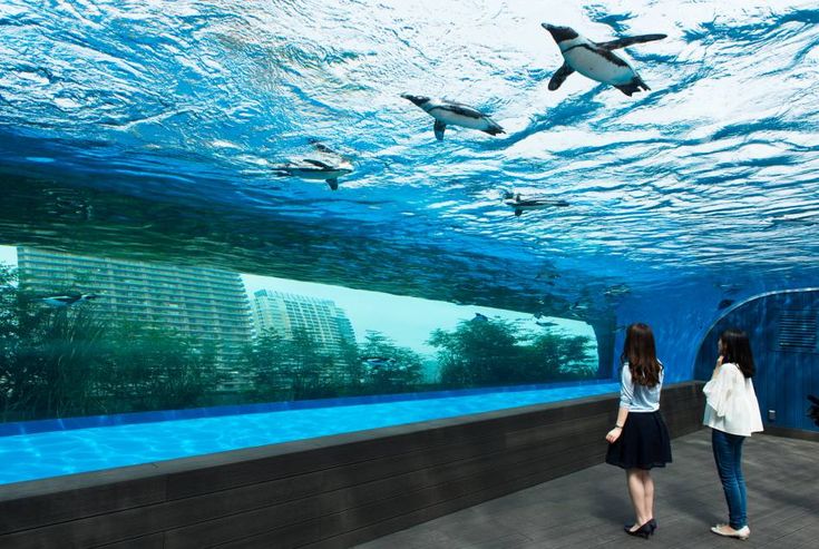 Sunshine Aquarium;10 Top Things to Do in Ikebukuro | Ikebukuro Attractions