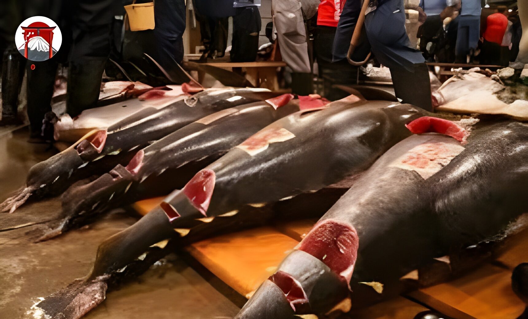 Tsukiji Outer Market: A Foodie’s Dream Destination