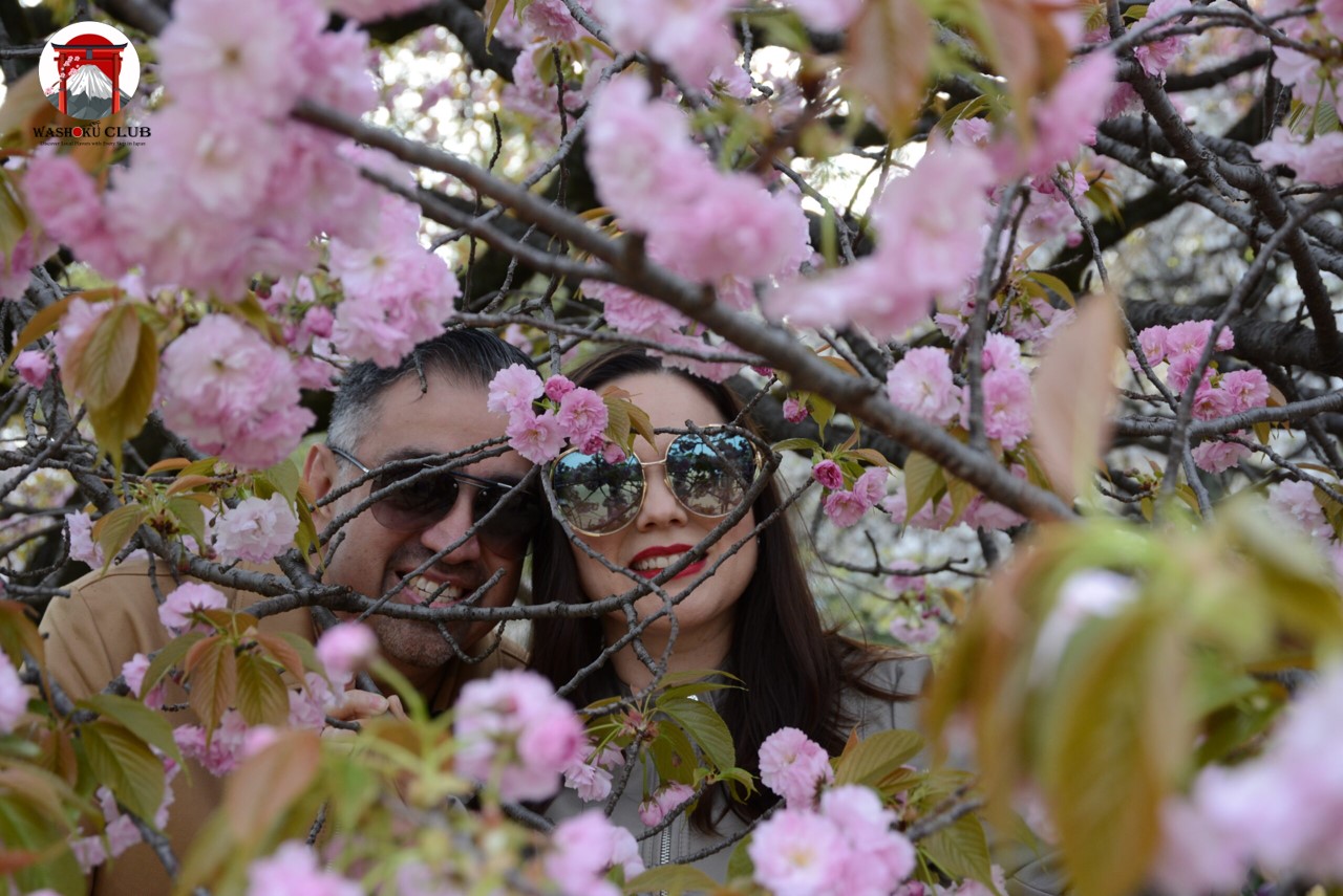 Japan's Weather : A Four-Season Symphony