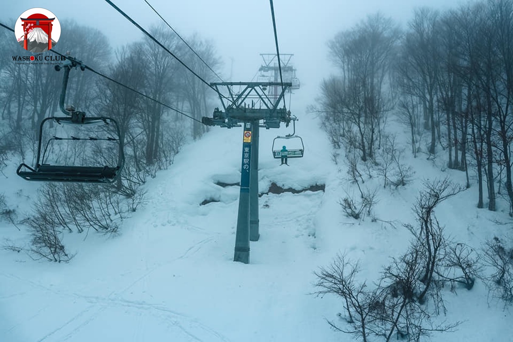 Japan's Weather : A Four-Season Symphony