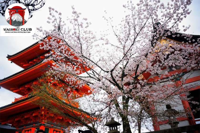 Best Places to See Cherry Blossoms in Osaka 2025: A Comprehensive Guide for Travelers