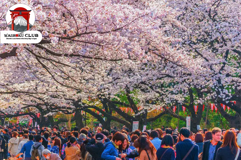 Best Places to See Cherry Blossoms in Osaka 2025: A Comprehensive Guide for Travelers