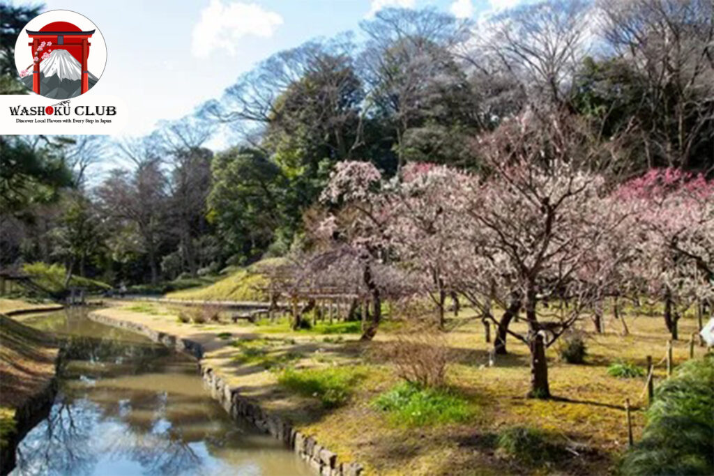 Koishikawa Korakuen Garden : A Taste of Old Japan