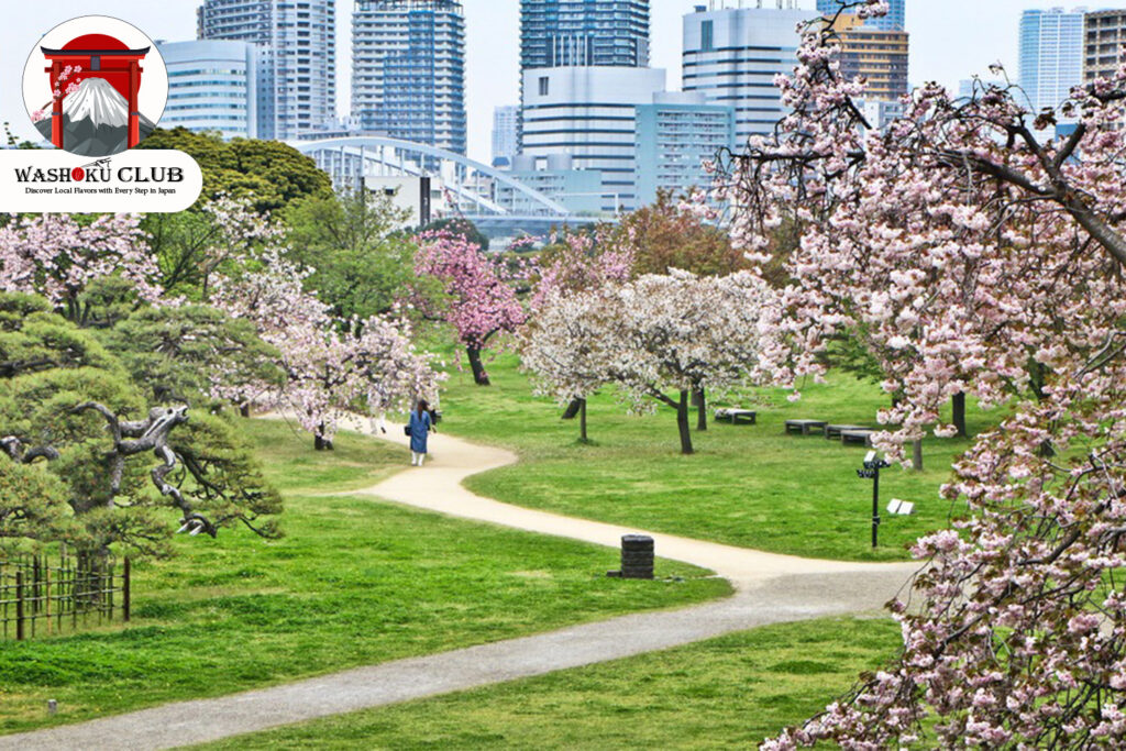 Hama-rikyu Gardens : A Historic Oasis for Cherry Blossom Viewing