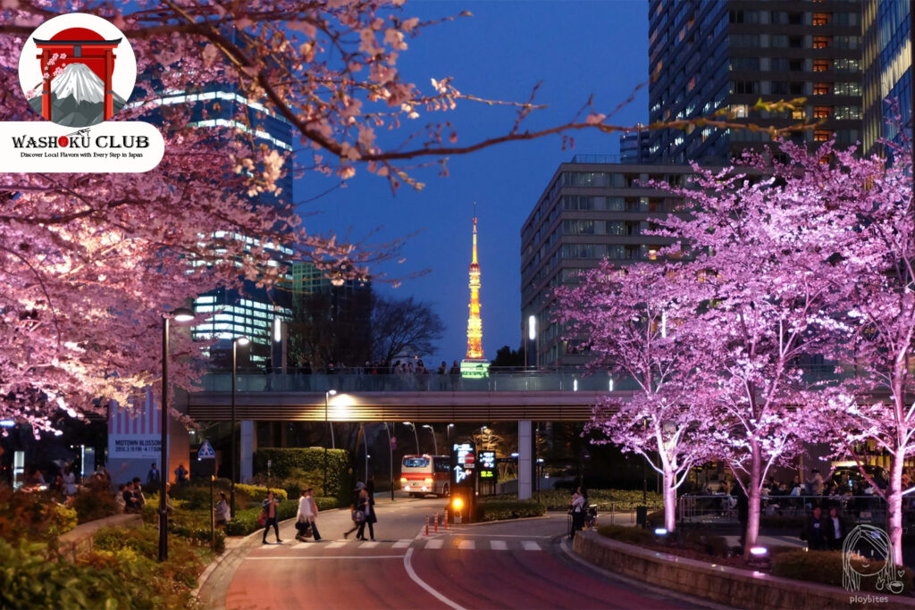 Roppongi Hills : Sakura with a Modern Skyline