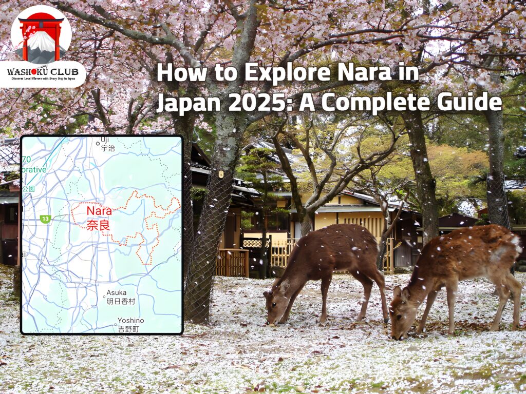 How to Explore Nara in Japan 2025: A Complete Guide