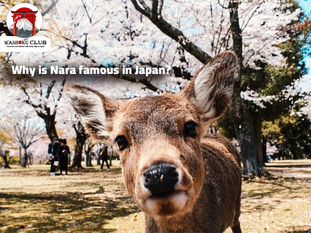 Why is Nara famous in Japan?