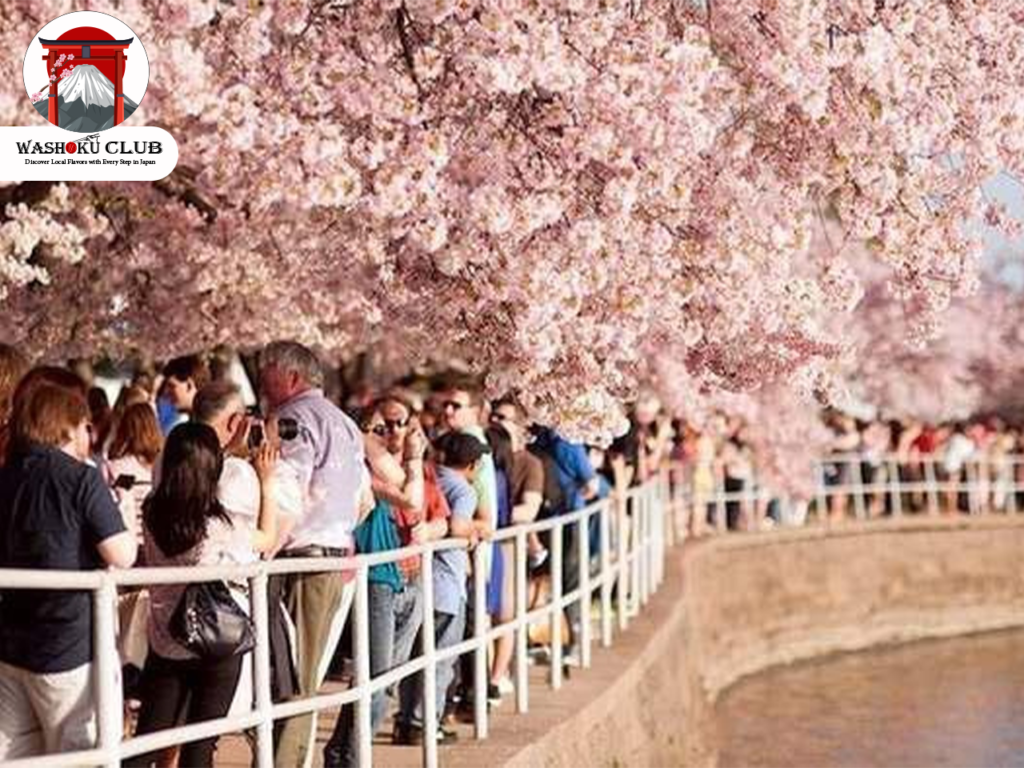 APRIL EVENTS IN JAPAN 2025: Unveiling Spring's Most Enchanting Events