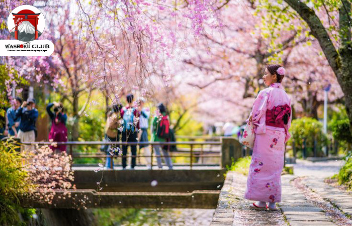 Cherry Blossoms in Japan 2025: Your Guide to Sakura Magic