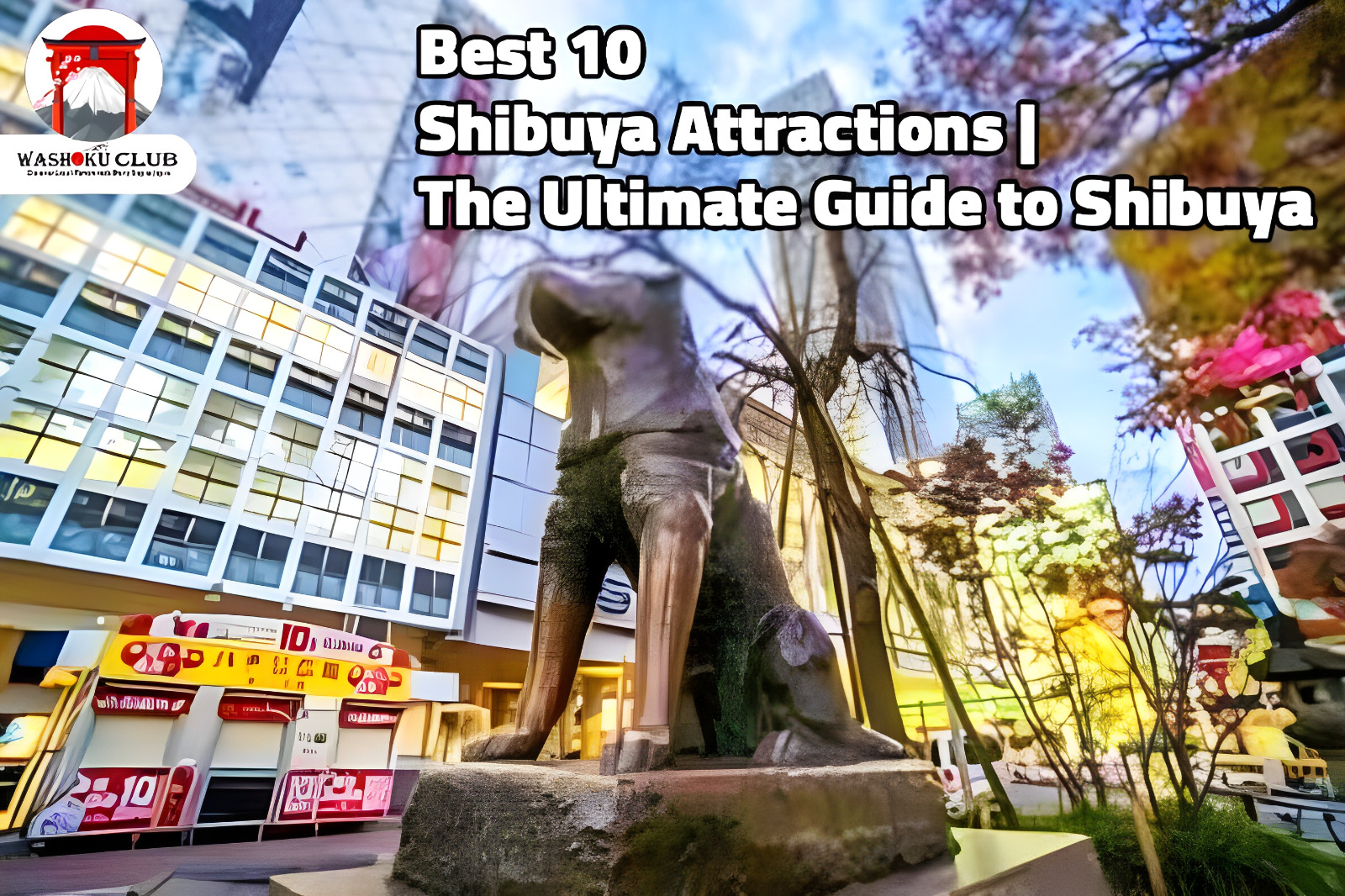 Best 10 Family-Friendly Shibuya Attractions | The Ultimate Guide to Shibuya