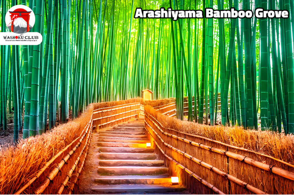 Kyoto Food Tour . Arashiyama Bamboo Grove: A Walk Through Kyoto’s Green Dream