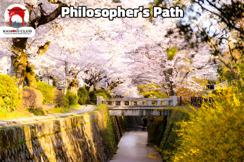 Kyoto Food Tour. Philosopher’s Path: A Tranquil Stroll Through Kyoto’s Heart