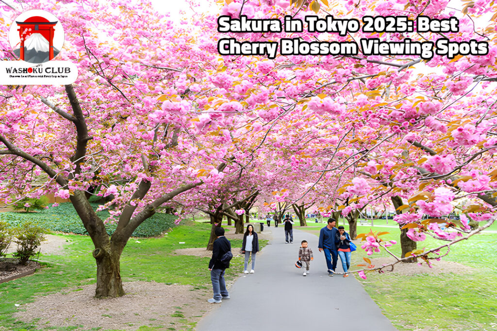 Best Places to See Cherry Blossoms in Osaka 2025: A Comprehensive Guide for Travelers