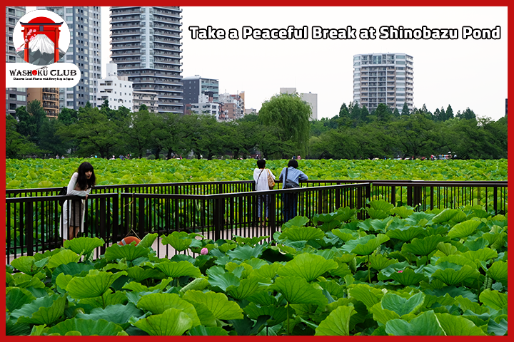 The Ultimate Ueno Guide : Top 10 Things to Do in Ueno Tokyo (2025)