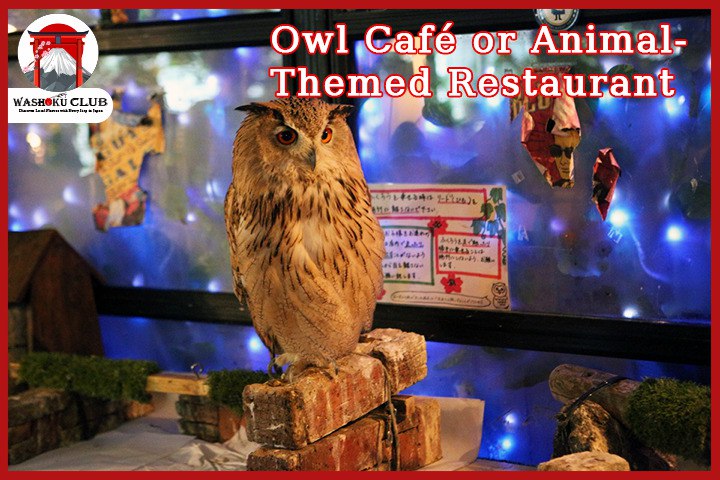 Osaka Food Guide: 10 Wildly Unique Restaurants and Iconic Eats You Can’t Miss
