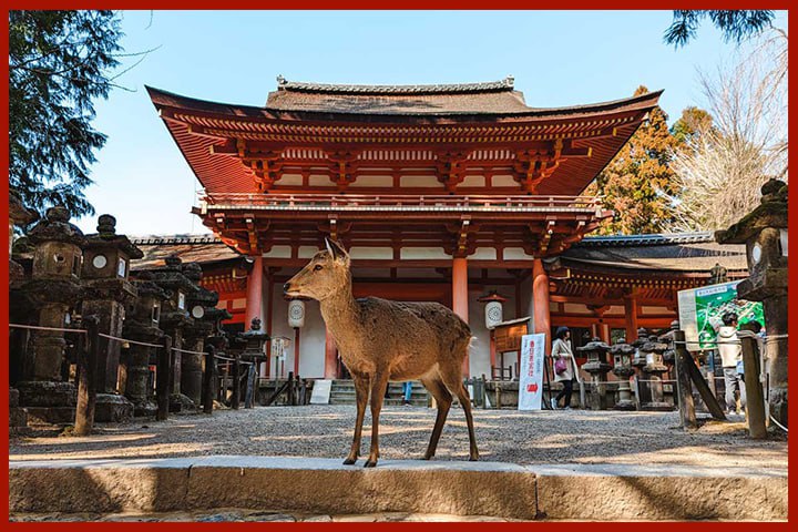 The Best Restaurants in Nara 2025: What to Eat and Where to Dine in Japan’s Ancient Capital